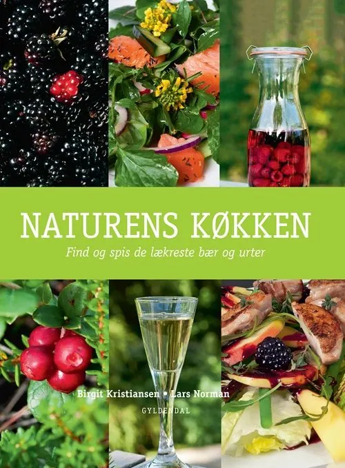 Naturens køkken : find og spis de lækreste bær og urter