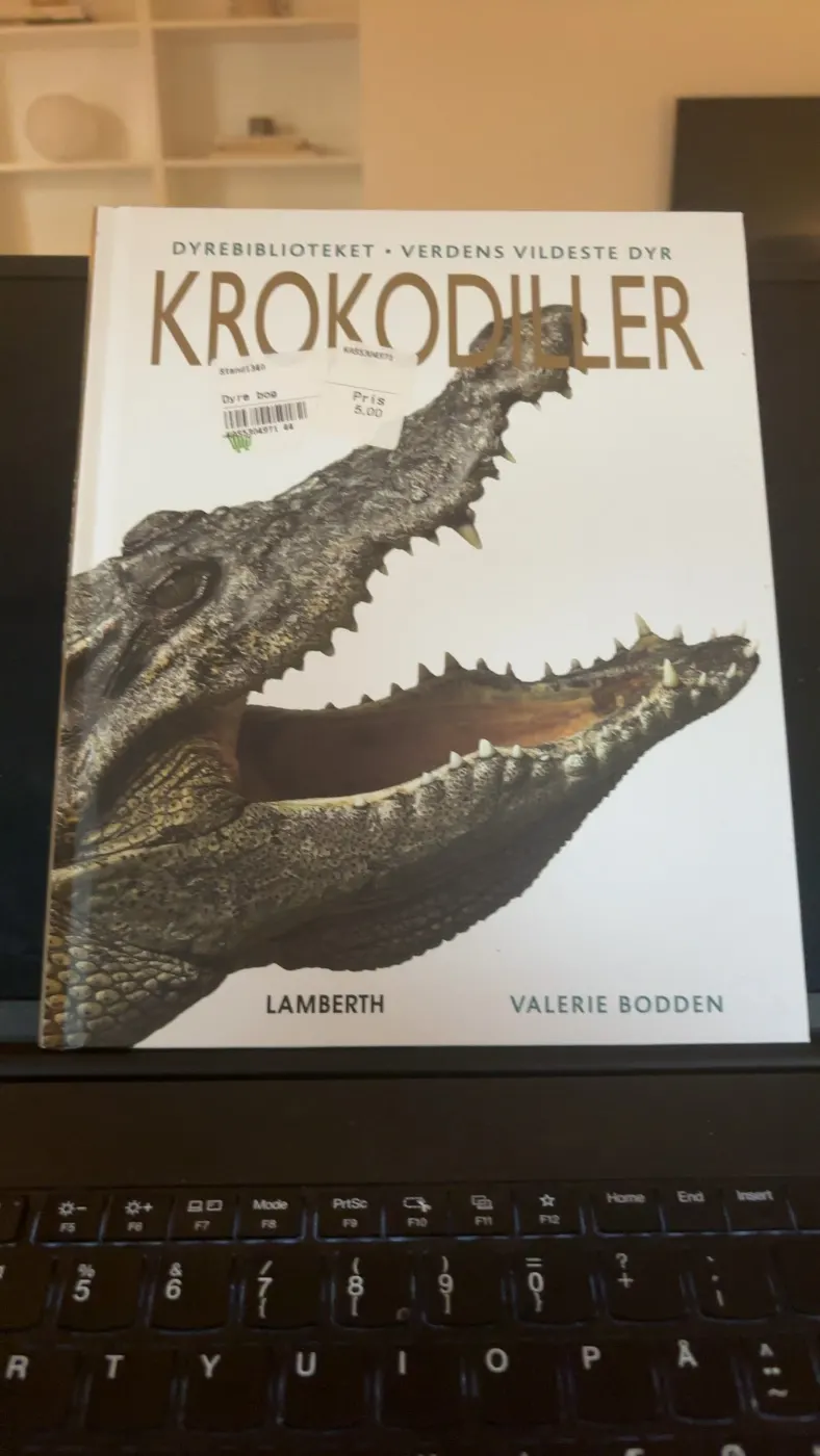 Krokodiller