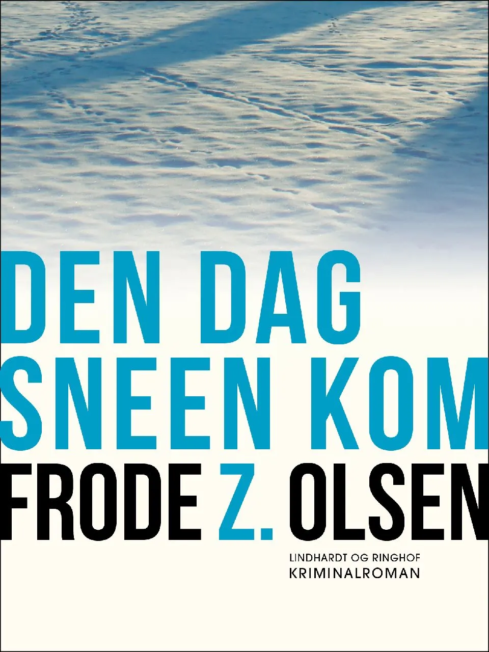 Den dag sneen kom